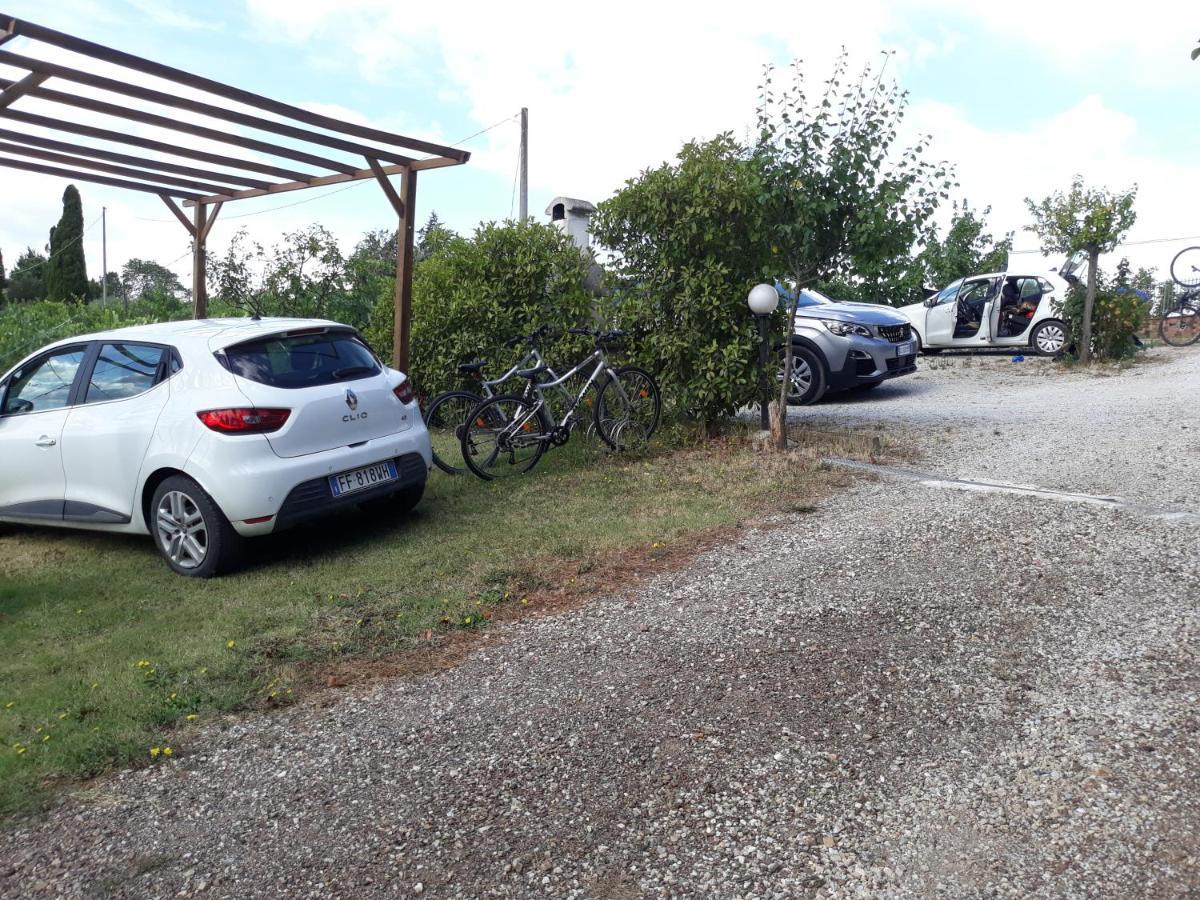 Agriturismo Podere Camollia Costalpino 외부 사진