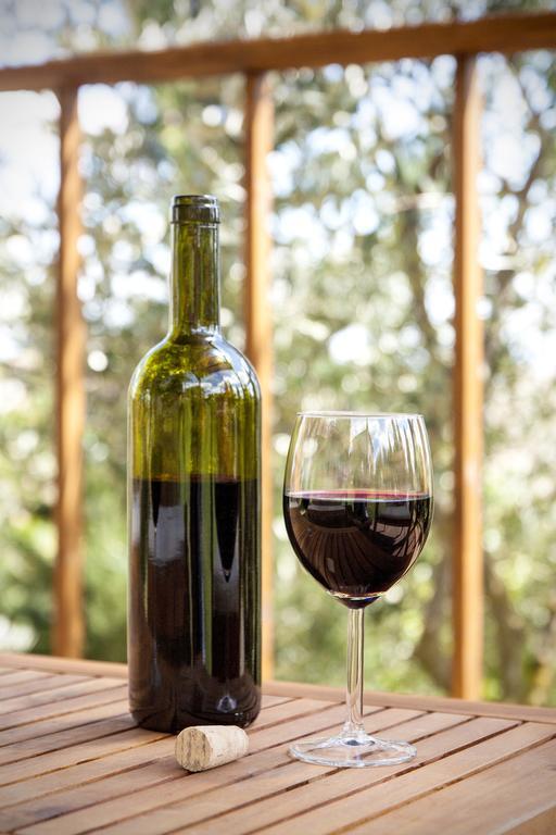 Agriturismo Podere Camollia Costalpino 외부 사진